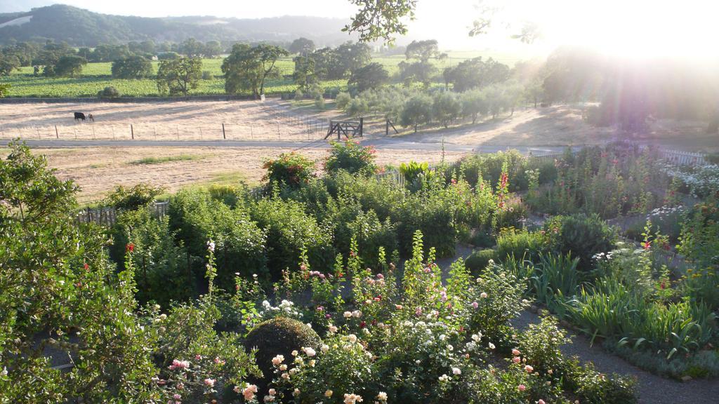 Beltane Ranch Bed & Breakfast Glen Ellen Exterior photo